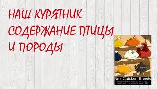 Наш курятник // Содержание птицы и породы.