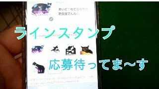 ラインスタンプ バンバン応募下さい? 2019.6.4の朝の保護猫達です