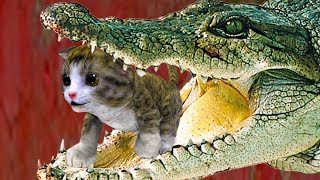 СИМУЛЯТОР Маленького КОТЕНКА #9 Беременная кошка родила кошечку - развлекательное видео #пурумчата