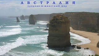 Австралия.Природа и животный мир. Часть 1