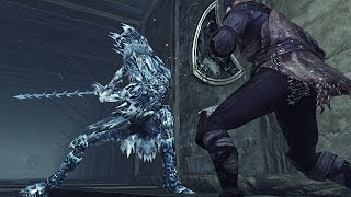Dark Souls II (PC) bone fist + ice rapier
