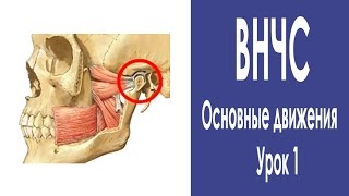 #6 Нижнечелюстной сустав. Снимаем напряжение. Урок 1.