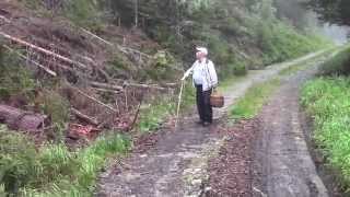 11 settembre 2014 a funghi in Carinzia...... DELIRIO!!!!!!