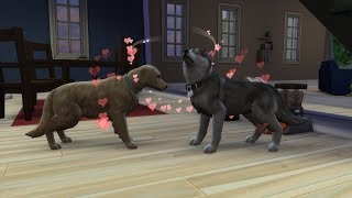 ES WIRD ZEIT FÜR HUNDEBABYS #20 DIE SIMS 4 - HUNDE UND KATZEN - Let's Play The Sims 4