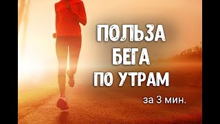 Польза бега по утрам. Бег для похудения