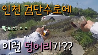 인천 배스포인트 검단수로 49cm 덩어리!! (캐스팅부터 랜딩까지!! 아까워서 재업로드)