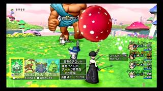 [ドラクエ10]バトルルネッサンス　サポ3攻略　赤の巨人レドノフ　タイムアタック動画！