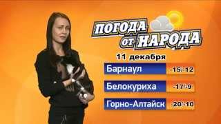 "Погода от народа" на 11 декабря с Еленой Николаева