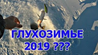Кто сказал глухозимье?Рыбалка с Петровичами. Братское водохранилище- Ермаковка. Глухозимье 2019