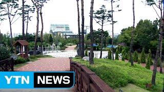 '무더위 탈출'...도시숲 늘리자 / YTN (Yes! Top News)