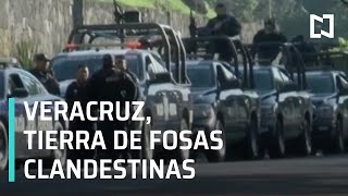 Veracruz, tierra de fosas clandestinas - Las Noticias
