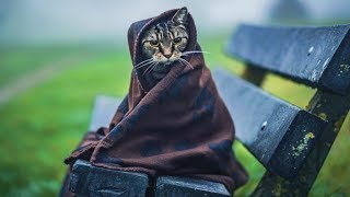 Я сама кусок хлеба не съем, а его накормлю, он же родной мне. Никого у меня кроме него ни осталось.
