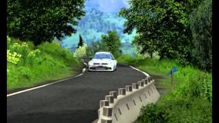 Volkswagen Polo R WRC