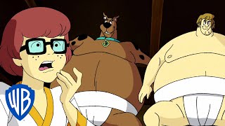 Scooby-Doo! en Latino | Un ninja ataca a la pandilla | WB Kids