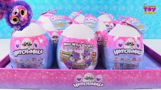 Hatchimals Giant Surprise Eggs 2 Talking Twins Inside Toy Review Unboxing | PSToyReviews