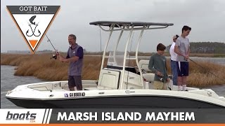 Got Bait? Marsh Island Mayhem - Striped Bass and Speckled Trout