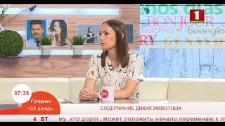 О содержании в неволе диких животных