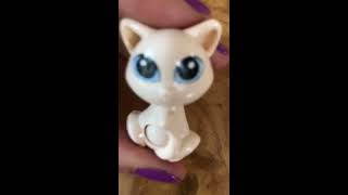 Abriendo huevos kinder: nueva colección de animalitos (gatito satánico)