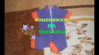 Как Связать Комбинизон Для ЧИХУАХУА | Вяжем Своими Руками|