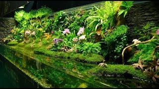 ПАЛЮДАРИУМ своими руками. ВОДОПАД В ПАЛЮДАРИУМЕ. КАК СДЕЛАТЬ ПАЛЮДАРИУМ своими руками. ♦DIY CAM♦