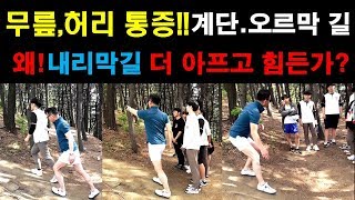 무릎허리 통증 계단 트레킹 등산 내려올때 왜 더 아프고 힘든가? 생로병사 자세가문제이다