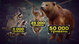 Торговля тиграми, медведями и змеями: сколько зарабатывают контрабандисты - Инсайдер, 08.02.2018