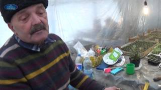 ПОСЕВ В КИПЯТОК.ЧАСТЬ 1. ДЕЙСТВИТЕЛЬНО НОВОЕ, ИЛИ ХОРОШО ЗАБЫТОЕ СТАРОЕ?