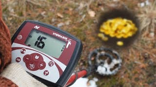 Коп в лесу с Серёгой/Minelab X-Terra 305