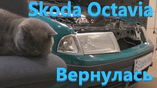 Skoda Octavia 2.0 2002 - Вернулась