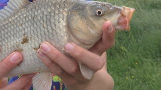 Рыбалка. Ловля на поплавок и пружину. My fishing.