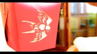 DIY Hanging Lanterns from Chinese Take Out Boxes
