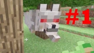 Minecraft! | Funny Minecraft Gameplay Commentary Video | My First Gameplay and I am Officer Dick!