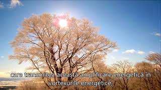 ELIBERAREA ENERGIILOR DE PIRAMIDĂ