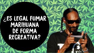 Como obtener marihuana legal en México (Hablemos de la mota pt. 2) // SIN COMENTARIOS