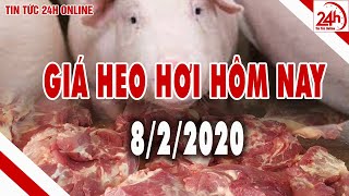 Giá heo hơi ngày hôm nay 8/2/2020 | Giá lợn hơi miền Nam đột ngột giảm mạnh | Tin tức 24h