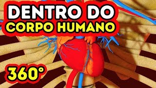 O que acontece dentro do seu corpo? || 360 VR