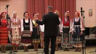 Dragostin Folk National - Gu-gu-gu I-gu /Драгостин Фолк Национал - Гу-гу-гу И-гу