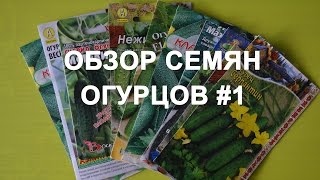 Обзор сортов семян огурцов #1