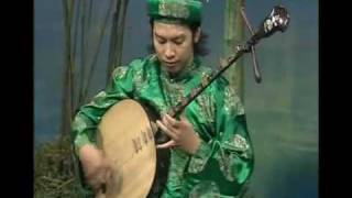 Mai Thanh Son - Dan Nguyet - Cảm xúc quê hương