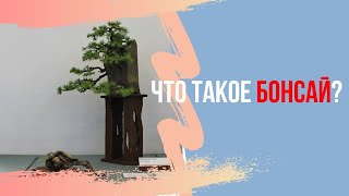 Уроки Бонсай - Что такое Бонсай?