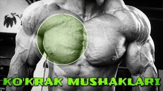 KO'KRAK MUSHAGINI SHUG'ULLANTIRISH USULLARI, FAKTLAR VA MALUMOTLAR