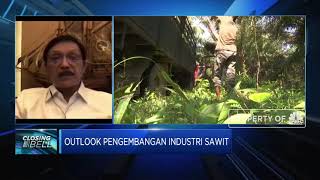 BPDPKS: Harga CPO Melonjak, Dana Stimulus Program B30 Naik