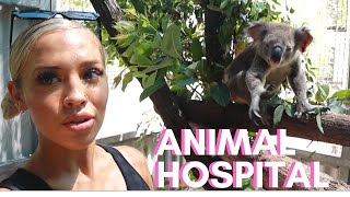 WILDLIFE HOSPITAL | vlog