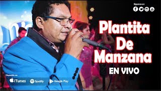 Deleites Andinos -  Plantita De Manzana  | En Concierto Piura
