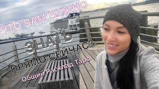 ЧТО ВАМ НУЖНО ЗНАТЬ ПРЯМО СЕЙЧАС? Общий Расклад Таро