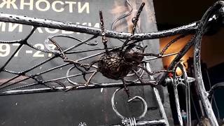 Кованая вешалка своими руками!!!