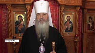 Поздравление Митрополита Тихона с Крещением (2020 01 17)