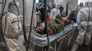 В Россию пока не добрался. Последние новости о коронавирусе