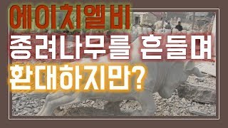 [주식]에이치엘비 종려나무를 흔들며 환대하지만?LO 공매도 리보세라닙