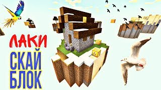НОВЫЙ СКАЙ БЛОК С ЛАКИ БЛОКАМИ, ОБЗОР ЛАКИ БЛОКОВ В МАЙНКРАФТЕ НА КАРТЕ SKY BLOCK